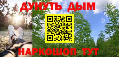 стафф Гай