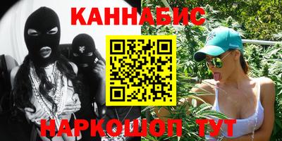 стафф Гай