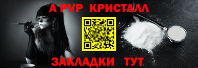 стафф Гай