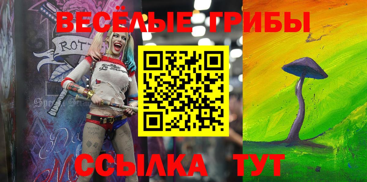 где найти   Вход с VPN  Междуреченск  Псилоцибиновые грибы мухоморы  Галлюциногенные грибы Psilocybine cubensis 