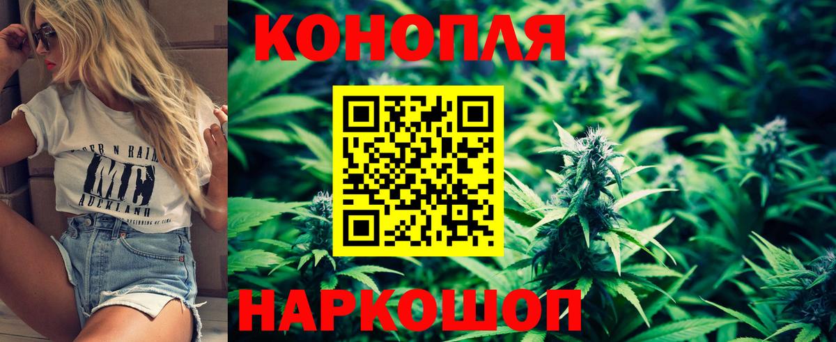 МАРИХУАНА план  Каннабис White Widow  Междуреченск  МАРИХУАНА планчик  Вход с VPN 